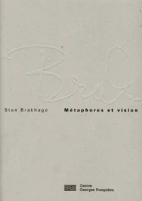 Métaphores et vision