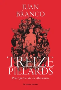Treize pillards
