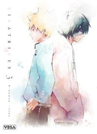 Cicatrices Tome 3