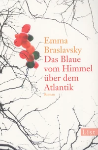 Das blaue vom Himmel über dem Atlantik