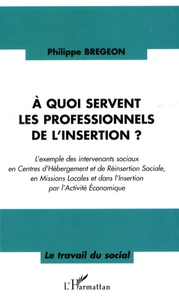 A quoi servent les professionnels de l'insertion ?