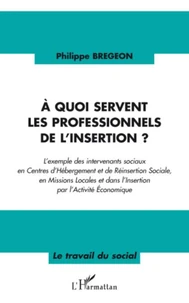 A quoi servent les professionnels de l'insertion ?