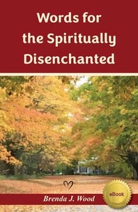 Words for the Spiritually Disenchanted