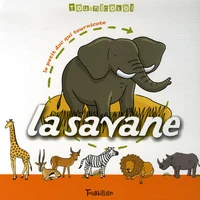 La savane