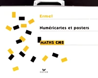 Maths CM2