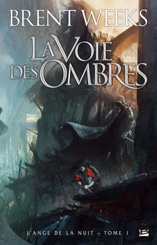 L'Ange de la Nuit Tome 1 La Voie des ombres - Occasion