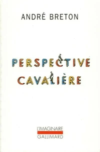 Perspective cavalière