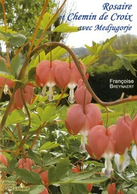 Rosaire et chemin de croix avec la paroisse de Medjugorje