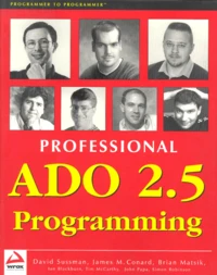 Professional Ado 2.5 Programming