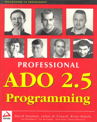 Brian Matsik et  Collectif - Professional Ado 2.5 Programming.