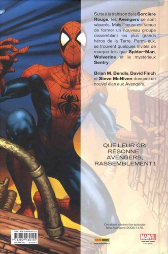 Spider-Man & les Avengers : Evasion. 2005