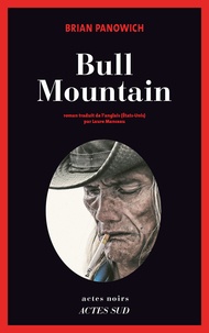 Brian Panowich - Bull Mountain.