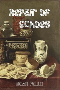 Repair of Echoes