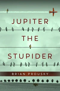 Jupiter the Stupider