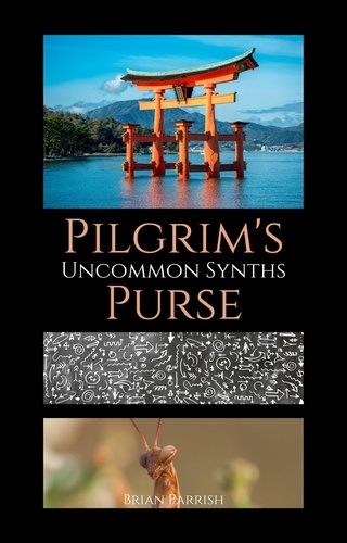  Brian S. Parrish - Pilgrim’s Purse: Uncommon Synths.
