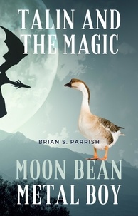  Brian S. Parrish - Talin and the Magic Moon Bean Metal Boy.