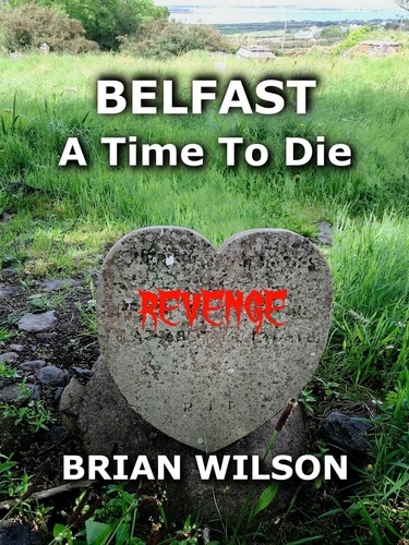 Brian Wilson - Belfast a Time To Die.