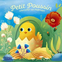 Petit Poussin cherche sa maman