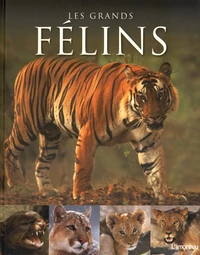 Les grands félins