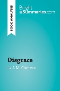  Bright Summaries - BrightSummaries.com  : Disgrace by J. M. Coetzee (Book Analysis) - Detailed Summary, Analysis and Reading Guide.