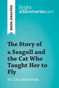  Bright Summaries - BrightSummaries.com  : The Story of a Seagull and the Cat Who Taught Her to Fly by Luis de Sepúlveda (Book Analysis) - Detailed Summary, Analysis and Reading Guide.