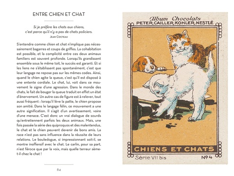 Le petit livre des chats. Avec 10 cartes postales offertes