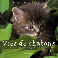 Brigitte Bulard Cordeau - Vies de chatons.