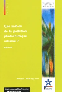 Que sait-on de la pollution photochimique urbaine ?