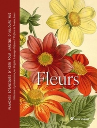 Brigitte Lapouge-Déjean - Fleurs - Planches botaniques d'hier pour jardins d'aujourd'hui.
