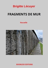 Brigitte Lécuyer - Fragments de mur.