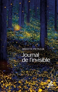 Brigitte Pietrzak - Journal de l'invisible.