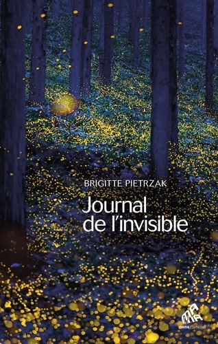 Journal de l'invisible