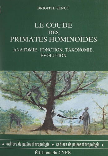 Le coude des primates hominoïdes. Anatomie, fonction, taxonomie, évolution