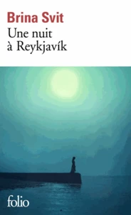 Une nuit à Reykjavik