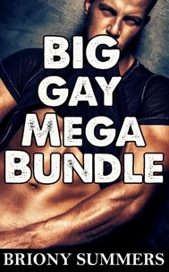 Big Gay Mega Bundle