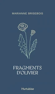 Fragments d'olivier