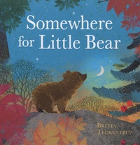 Britta Teckentrup - Somewhere for Little Bear.
