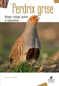 La perdrix grise