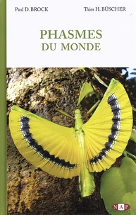 Phasmes du monde