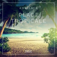 Ambiance – Plage tropicale