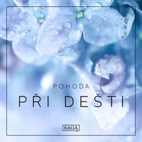 Pohoda – Při dešti