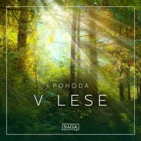 Pohoda – V lese