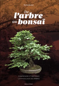 De l'arbre au bonsaï