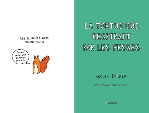 La tortue qui respirait par les fesses