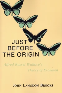 Just before the origin