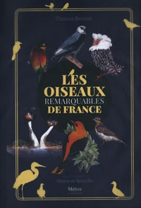 Les oiseaux remarquables de France