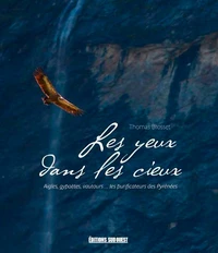 Les yeux dans les cieux