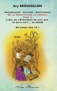 De la Nègattitude au travail
