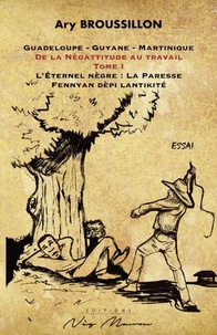 De la Nègattitude au travail