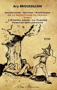 De la Nègattitude au travail